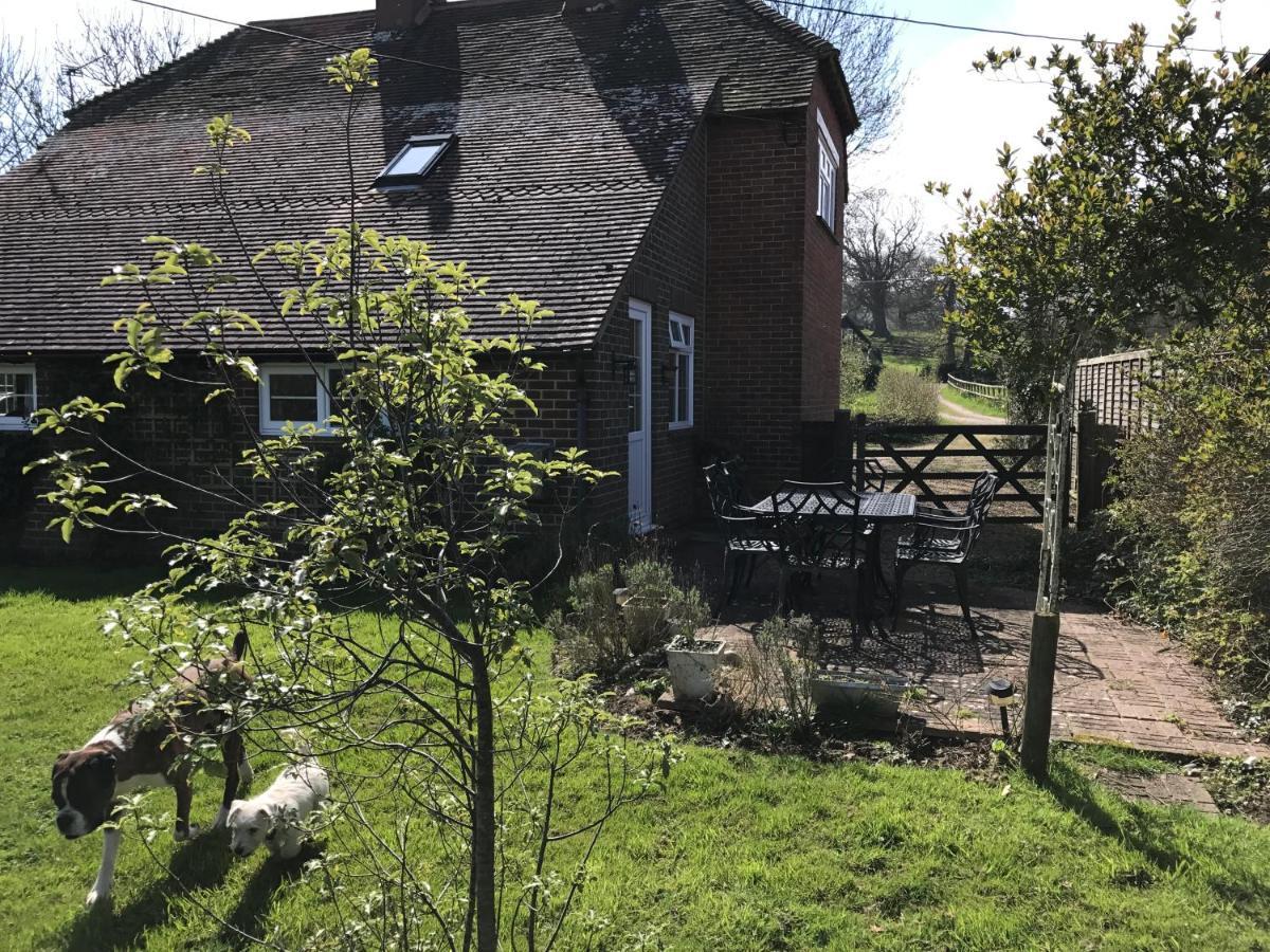 Godshill Park Cottages Exterior photo