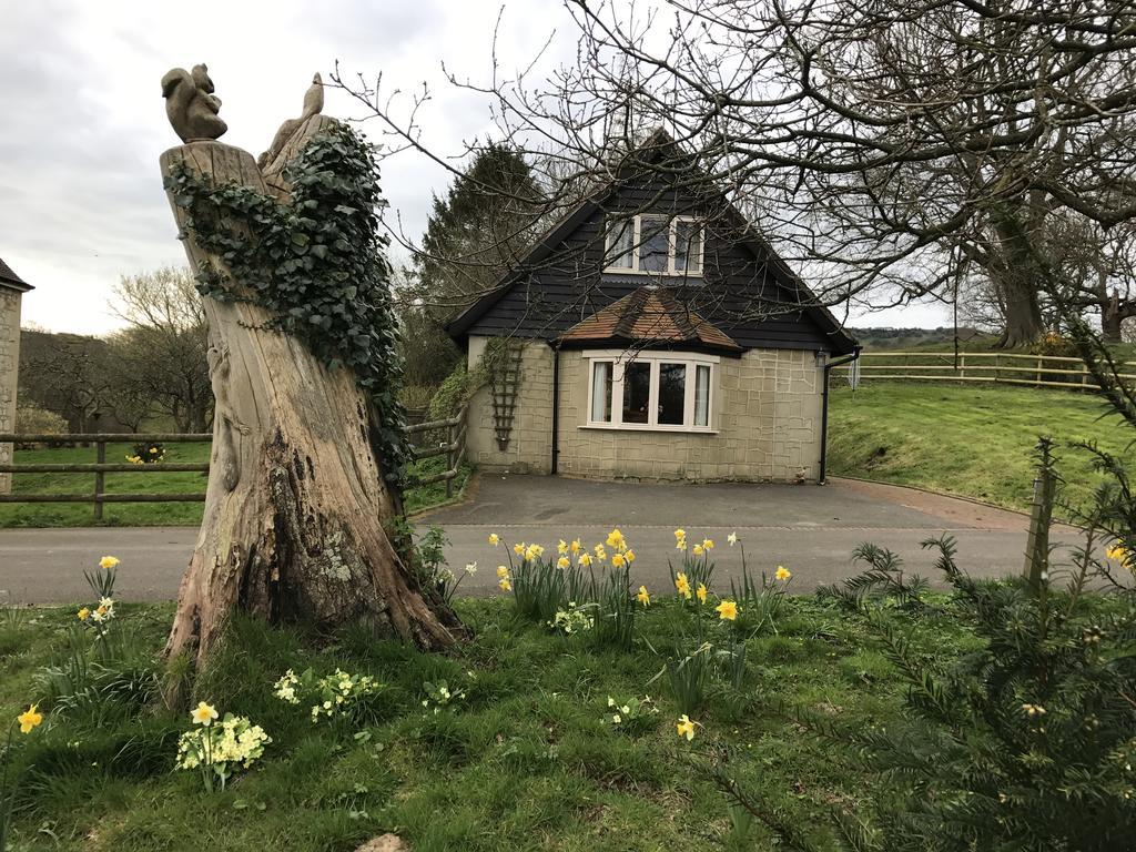 Godshill Park Cottages Exterior photo